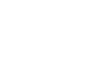 60 anos Furlan